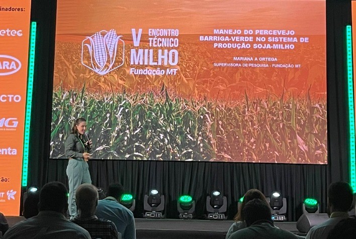 Combate ao percevejo barriga-verde: estratégias começam nas lavouras de soja