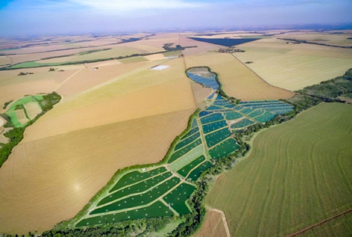 C.Vale assume operações da Paturi Piscicultura e amplia sua produção de peixes