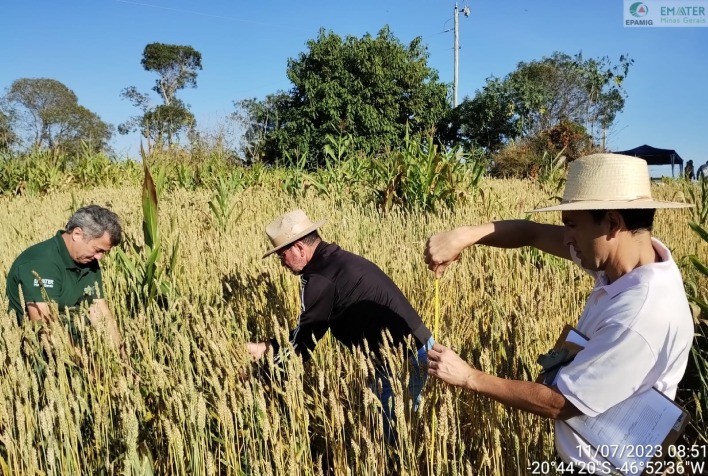 Emater-MG Celebra 76 Anos de Contribuições ao Setor Agropecuário de Minas Gerais