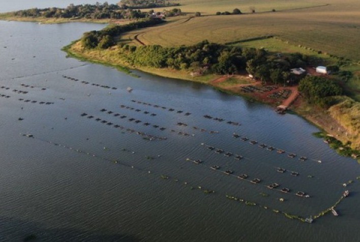 MME e Ministério da Pesca Firmam Parceria para Fomentar Aquicultura em Reservatórios de Hidrelétricas
