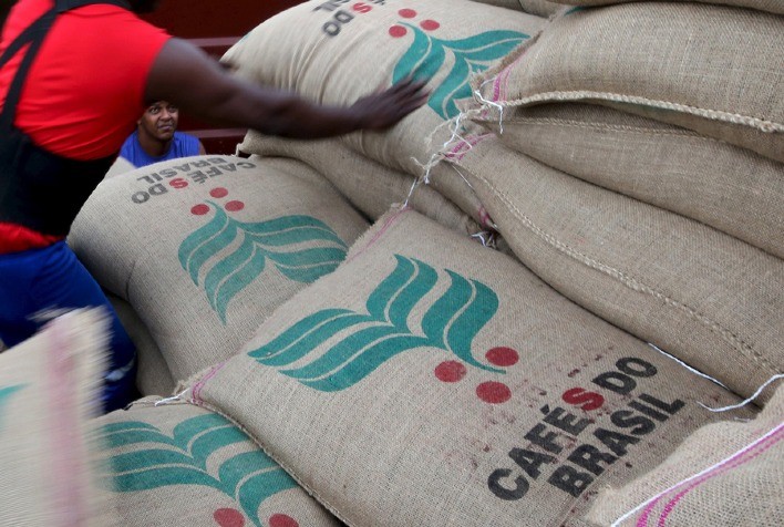 Exportações de Café Não Torrado Crescem Mais de 80% em Receita em Novembro de 2024