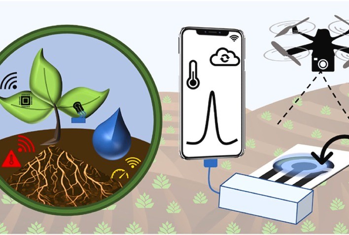 IoT e Sensores Eletroquímicos Revolucionam o Agro com Sustentabilidade e Monitoramento em Tempo Real