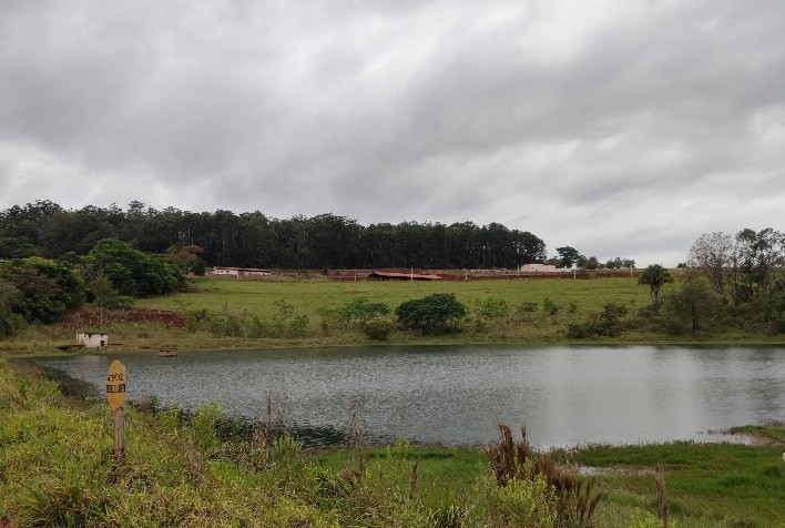 Brasil Possui 95 Milhões de Hectares que Demandam Restauração e Pagamento por Serviços Ambientais