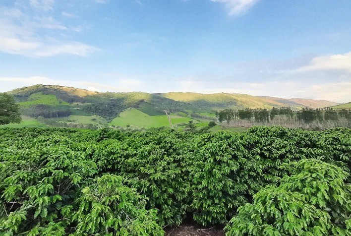 Vale da Grama obtém selo de Indicação Geográfica para café de excelência