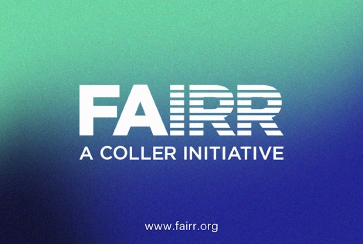 FAIRR: Falta de Rastreabilidade na Cadeia de Produção de Peixes e Frutos do Mar Aumenta Riscos para Investidores