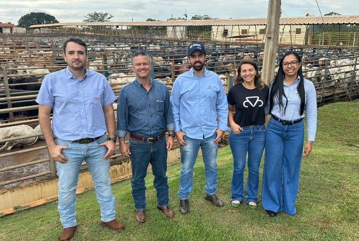 Programa PMGZ Carne Mostra que Touros Nelore PO Aumentam Ganho de Peso em Confinamento