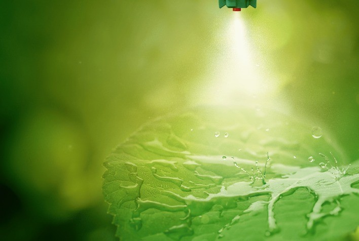 Ranchero: Novo Adjuvante Biodegradável para o Setor Agrícola Brasileiro