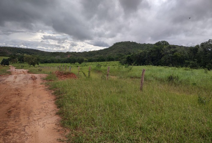 Brasil possui 74 milhões de hectares de vegetação nativa preservada além do exigido por lei
