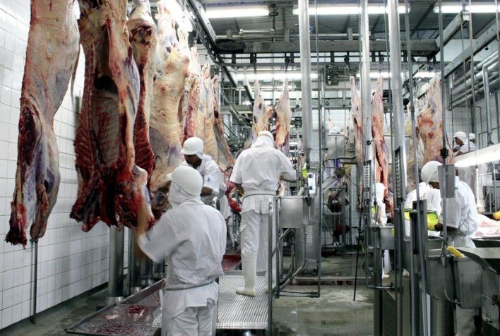 Goiás Registra Recorde no Abate de Bovinos e Crescimento na Produção de Alimentos no 3º Trimestre de 2024