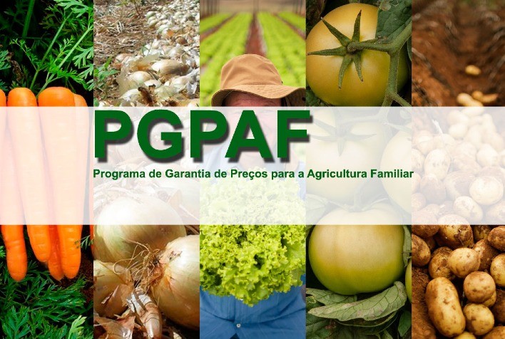 Conab Atualiza Lista de Produtos Beneficiados pelo PGPAF em Dezembro