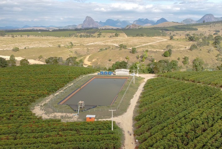 Cuidados Essenciais para Proteger as Lavouras de Café no Verão