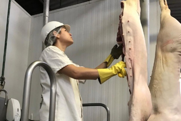 Governo de Goiás abre edital para contratação temporária de 30 médicos veterinários