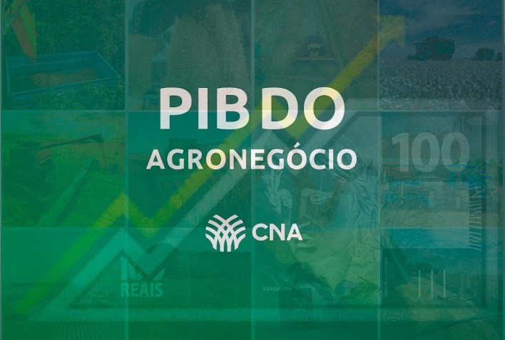 PIB do Agronegócio Aponta Recuperação e Crescimento para 2025, Estima CNA
