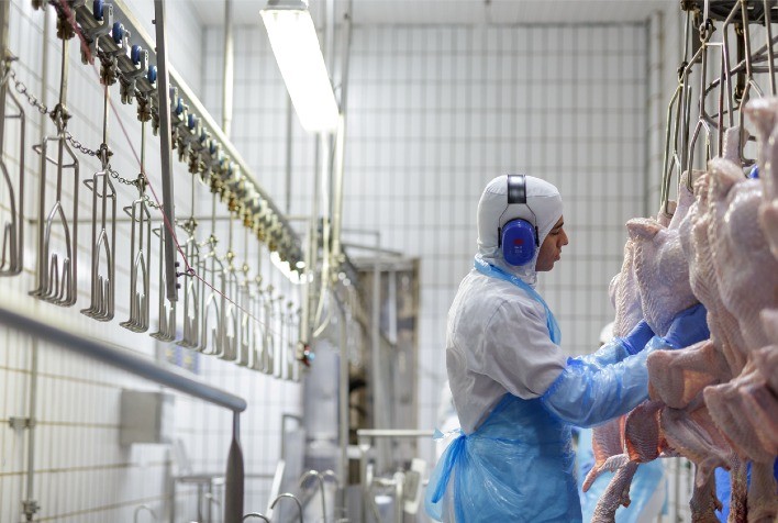 BRF Certifica Todas as Unidades de Abate em Bem-Estar Animal Globalmente