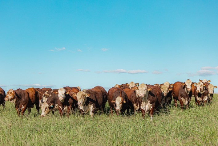 ABHB Abre Inscrições para a Prova de Eficiência Alimentar 2025