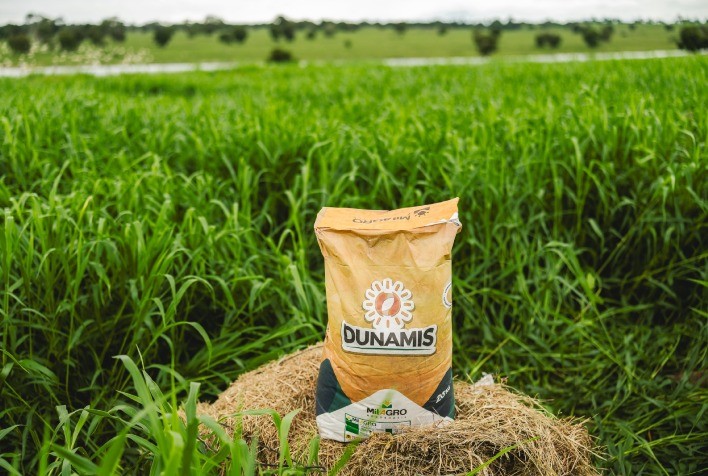 Capim Dunamis Plantado com Drones em Áreas de Alta Declividade: Solução Inovadora para Pastagens em Terrenos Inclinados