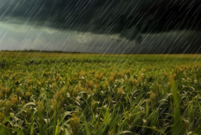 Semana de Menor Chuva no Sul do Brasil, com Foco de Precipitações no Sudeste e Norte
