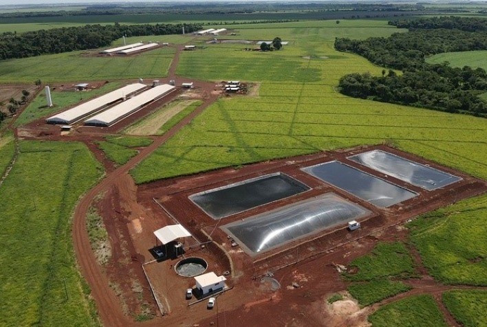 Santa Catarina Planeja Ampliar Conversão de Dejetos Suínos em Biogás e Energia até 2025