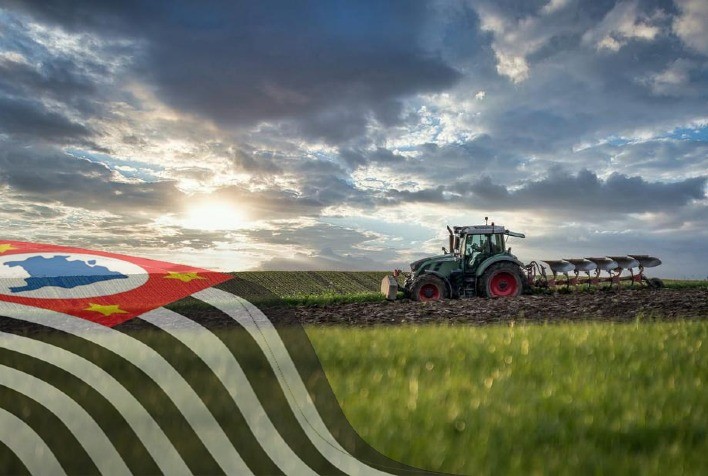 Vegetação Nativa Pode Gerar R$ 4 Bilhões Anuais ao Agro Paulista