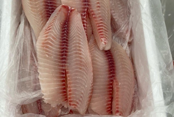 Fider Pescados realiza primeiro embarque de filé fresco de tilápia para os EUA sem Certificação Sanitária