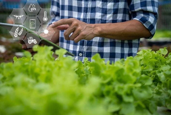 Agro 4.0: Tecnologia e Inovação Impulsionam o Agronegócio Sustentável