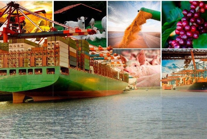 Exportações do agronegócio brasileiro superam US$ 153 bilhões em 2024