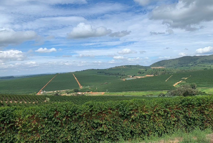Lançamento do Núcleo de Inteligência para o Fortalecimento da Cafeicultura Brasileira
