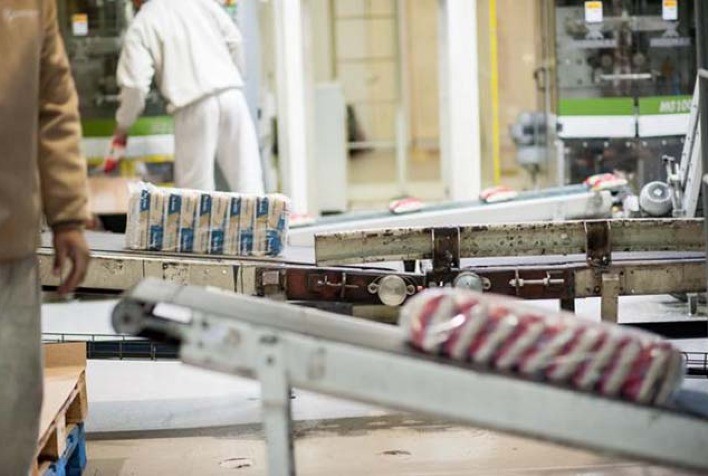 Indústrias de Arroz Mantêm Otimismo para 2025, Apesar de Desafios em 2024