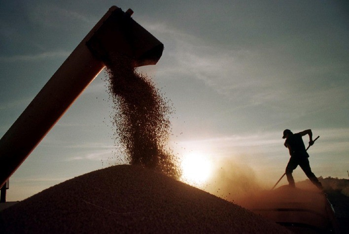 Safra de Soja 2024/25: Expectativa de Recorde Reforça a Importância das Estratégias de Proteção no Agro Brasileiro