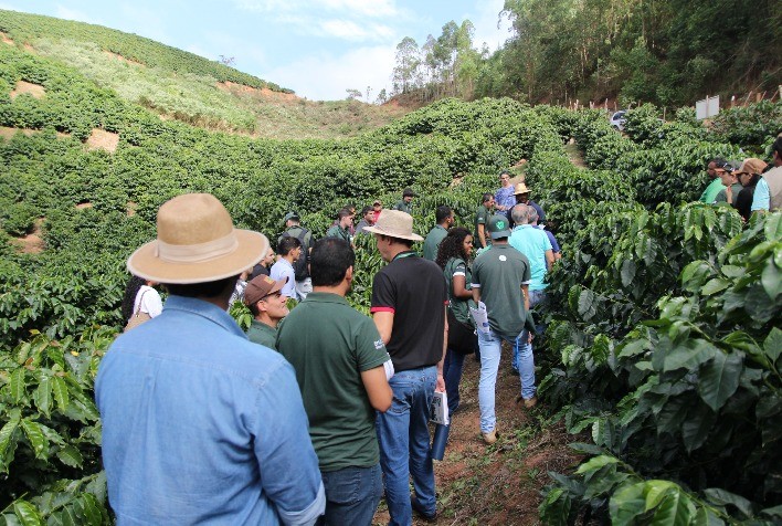 Sistema Faemg Senar Capacita Mais de 16 Mil Pessoas na Zona da Mata e Caparaó em 2024