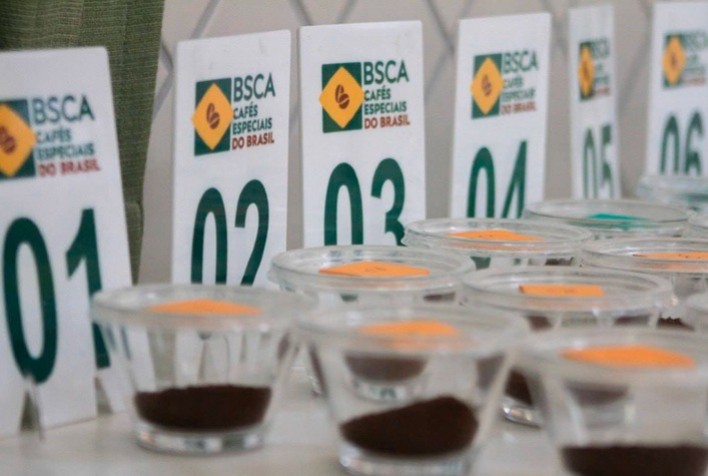 Leilão do Cup of Excellence 2024: Café Especial Alcança Novo Marco de Preço Histórico