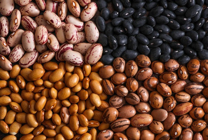 Como Calcular o Custo de Produção do Feijão