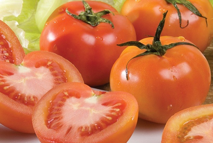 Preço do tomate longa vida no Rio Grande do Sul sofre queda de 30%