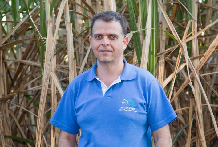 Regulador de Crescimento Orthosulfamuron Aumenta Produção de Açúcar em Até 1 Tonelada por Hectare