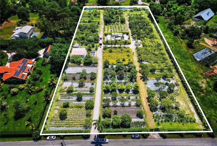 Flórida se destaca como destino para agricultores brasileiros em busca de diversificação e expansão de negócios