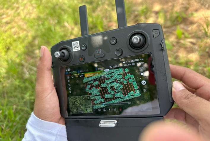 Nova tecnologia com inteligência artificial revoluciona o mapeamento de espécies florestais