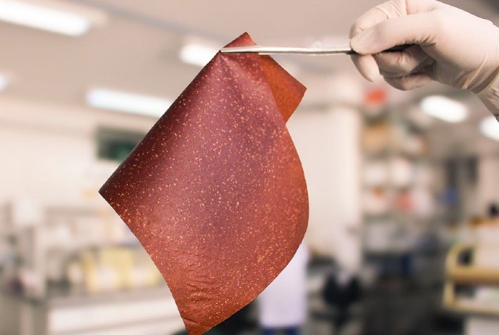 Transformação de Cascas de Banana em Bioplásticos: Solução Inovadora para Embalagens Sustentáveis