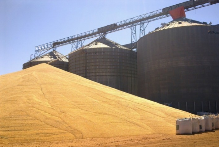 Supersafra de Grãos 2024/25: Desafios para a Armazenagem e a Qualidade da Produção