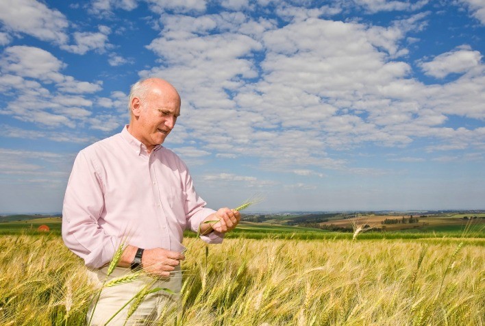 Embrapa Oferece Curso Gratuito sobre Tecnologia e Produção de Sementes e Mudas
