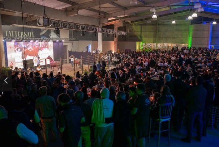 Raça Crioula Alcança Faturamento Recorde de R$ 122 Milhões em Leilões em 2024