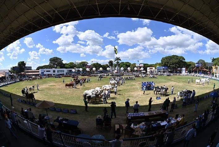 Inscrições para o Julgamento de Animais na 90ª ExpoZebu Iniciam no Dia 27 de Janeiro