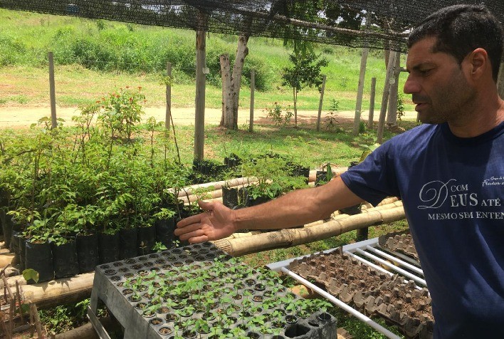 Parceria entre Emater-MG e Prefeitura de Santo Antônio do Monte Promove Distribuição Gratuita de Mudas