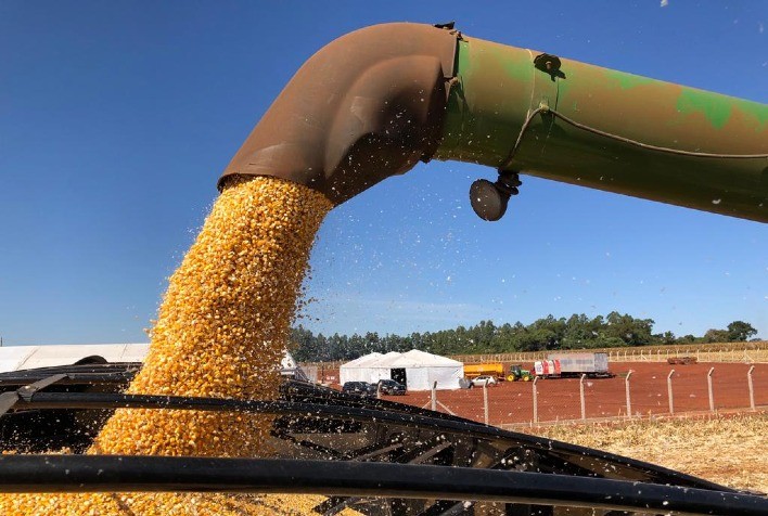 Preços do Milho Sobem no Brasil em Meio à Retenção de Oferta pelos Produtores