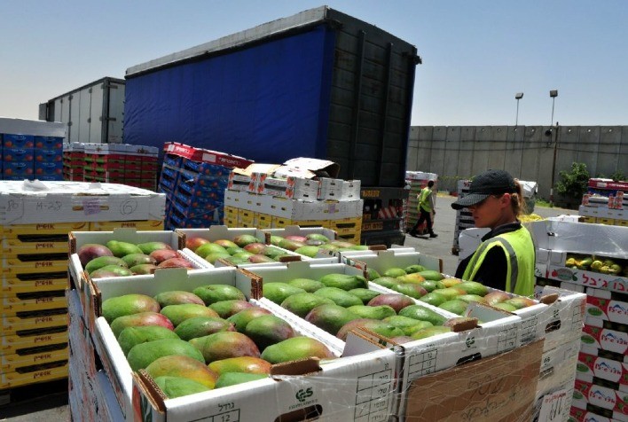 Exportações da Fruticultura Nacional Ultrapassam US$ 1,37 Bilhão em 2024