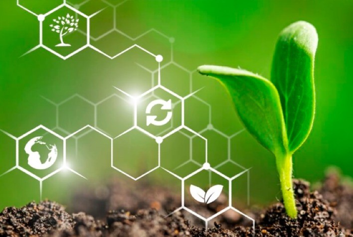 Crescimento do Mercado de Bioinsumos no Brasil: 15% em 2023/2024