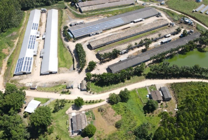 Seara Alcança 70% de Granjas com Energia Solar e Impulsiona Sustentabilidade