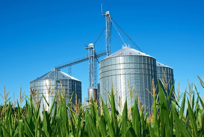 Déficit de Armazéns Desafia Recorde de Produção de Grãos no Brasil