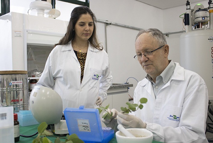 Embrapa Enfrenta Déficit de R$ 200 Milhões e Risco de Orçamento Ainda Menor em 2025