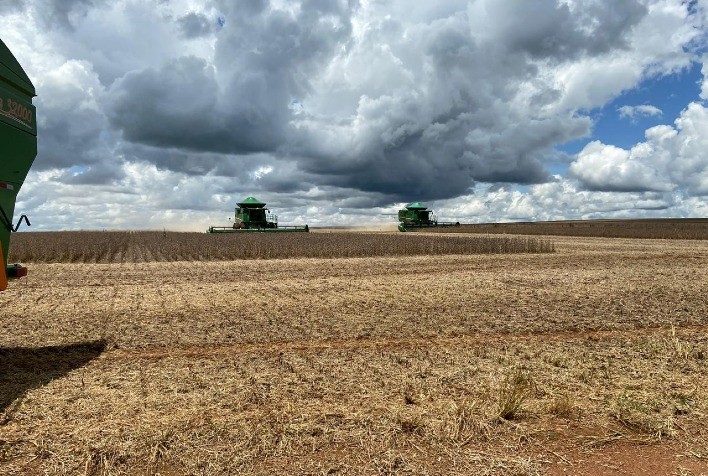 Colheita de Soja no Paraná Chega a 2% e Condição das Lavouras Piora, Aponta Deral