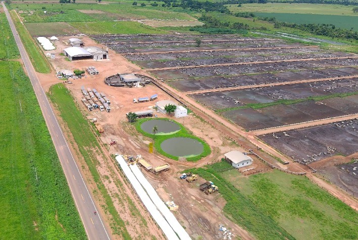 TJMT Autoriza Arresto de Milho da Ramax, Gerando Prejuízos Financeiros e Operacionais